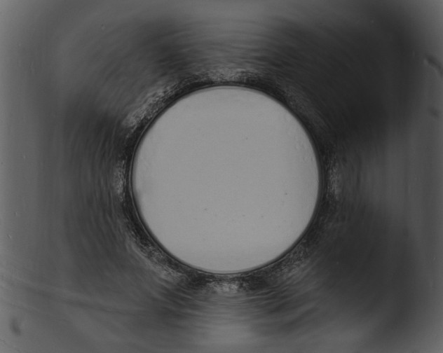 X0000103300687200809261313