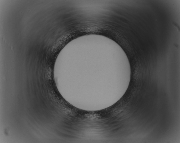 X0000103300689200809261313