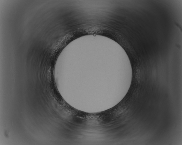 X0000103300690200809261313
