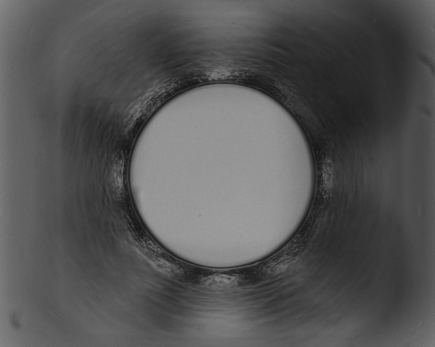 X0000103300691200809261313