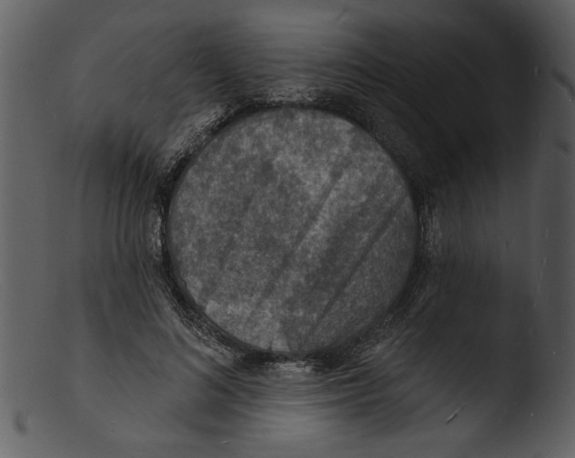 X0000103300692200809261313