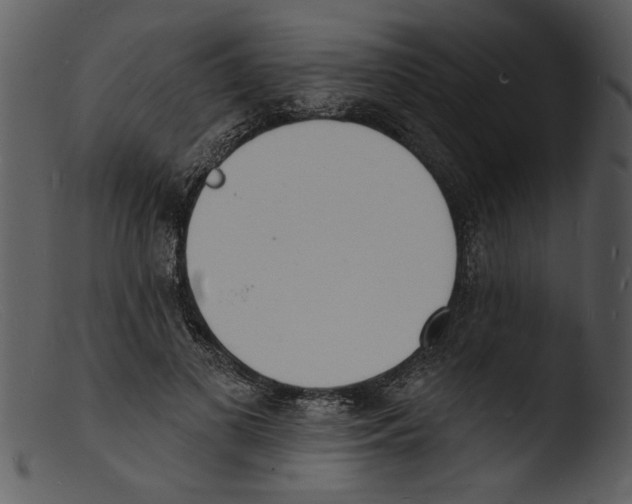 X0000103300693200809261313