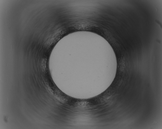 X0000103300695200809261313