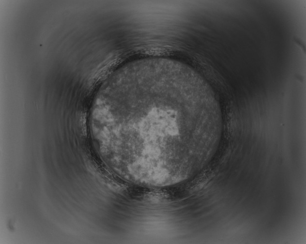 X0000103300696200809261313
