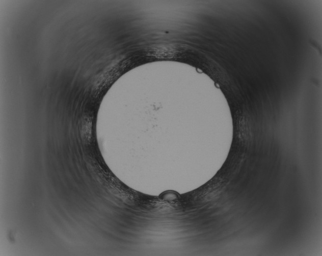 X0000103300697200809261313