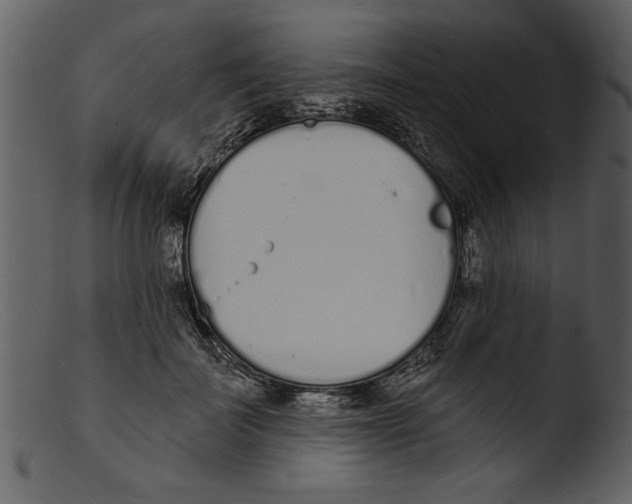 X0000103300699200809261313