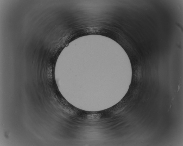 X0000103300700200809261313