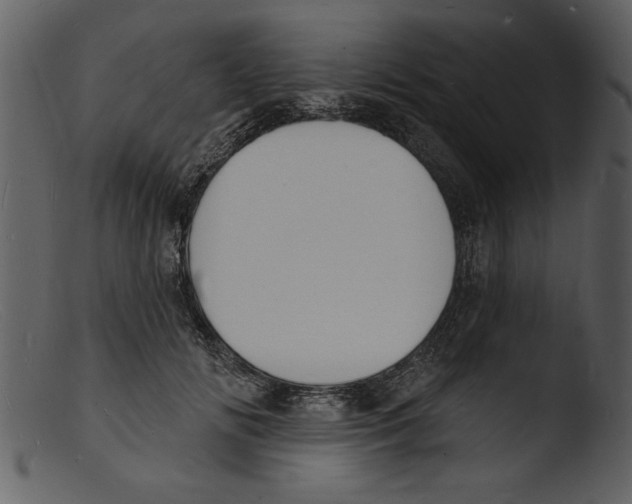 X0000103300702200809261313