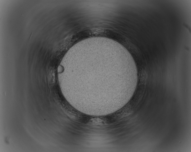 X0000103300703200809261313