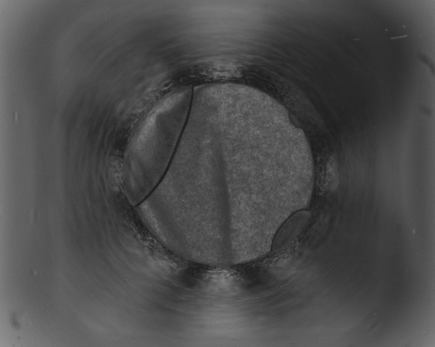 X0000103300704200809261313