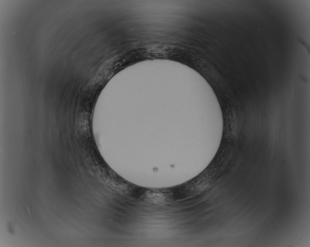 X0000103300706200809261313