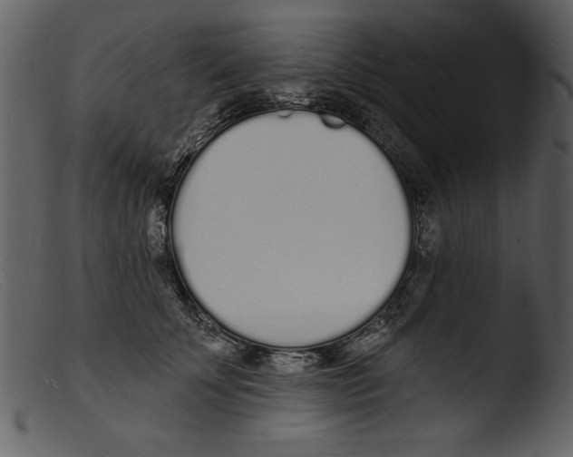 X0000103300707200809261313