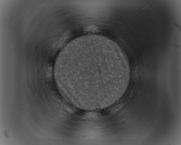 X0000103300708200809261313