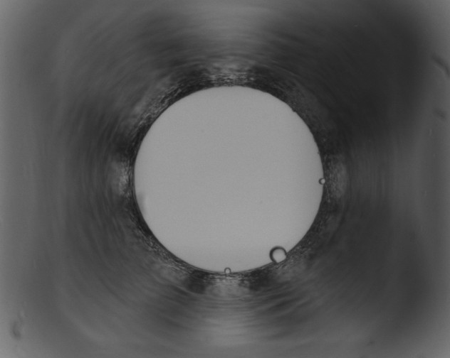 X0000103300709200809261313
