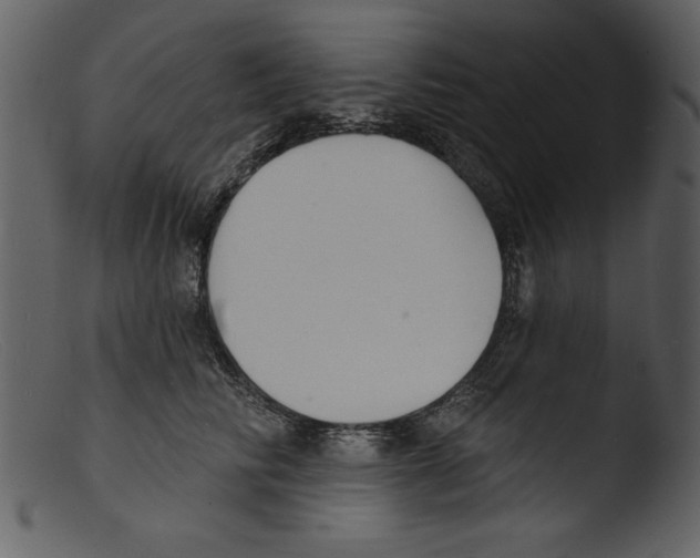 X0000103300710200809261313
