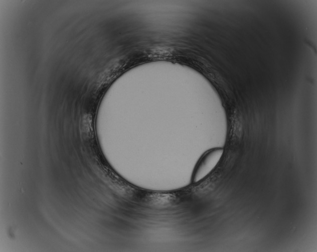 X0000103300711200809261313