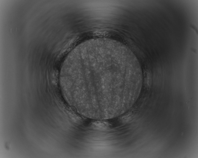 X0000103300712200809261313