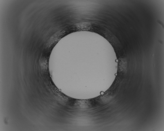 X0000103300713200809261313