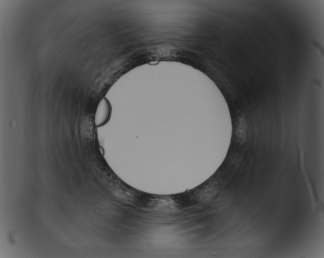 X0000103300715200809261313