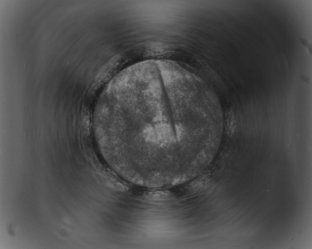 X0000103300716200809261313