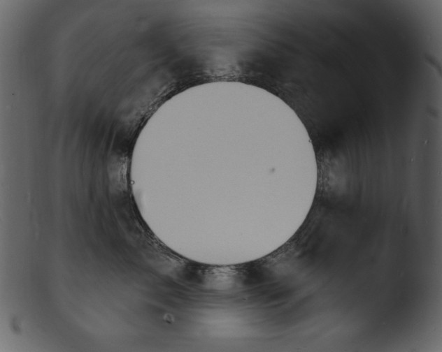 X0000103300717200809261313