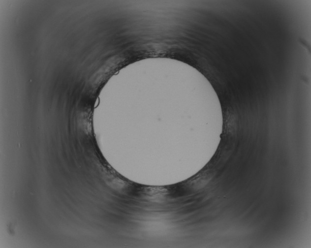 X0000103300719200809261313