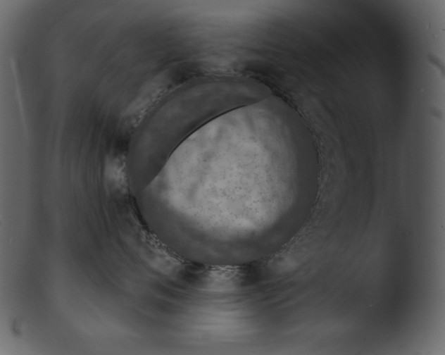 X0000103300720200809261313