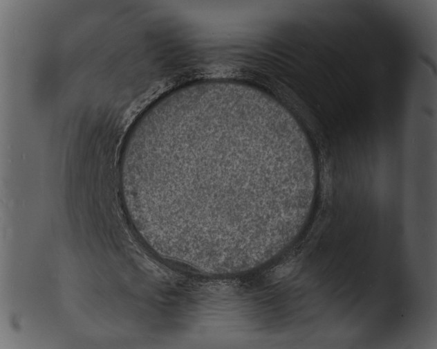 X0000103300721200809261312
