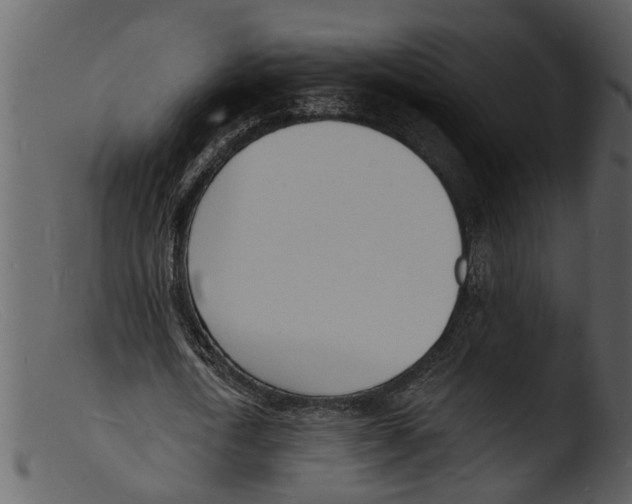 X0000103300722200809261312
