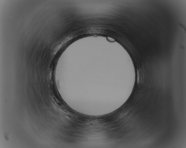 X0000103300723200809261312