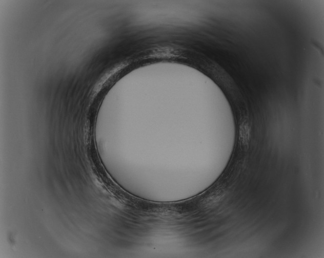 X0000103300724200809261312