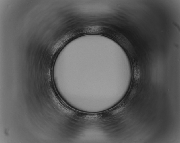 X0000103300725200809261312