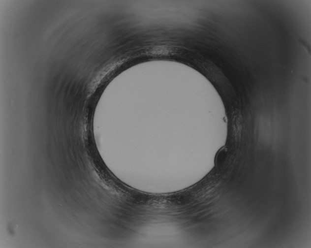 X0000103300728200809261312