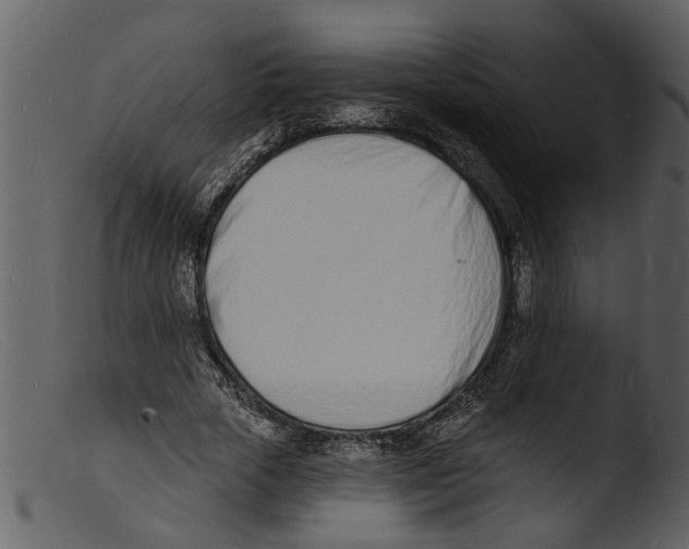 X0000103300729200809261312