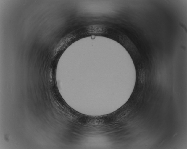 X0000103300731200809261313