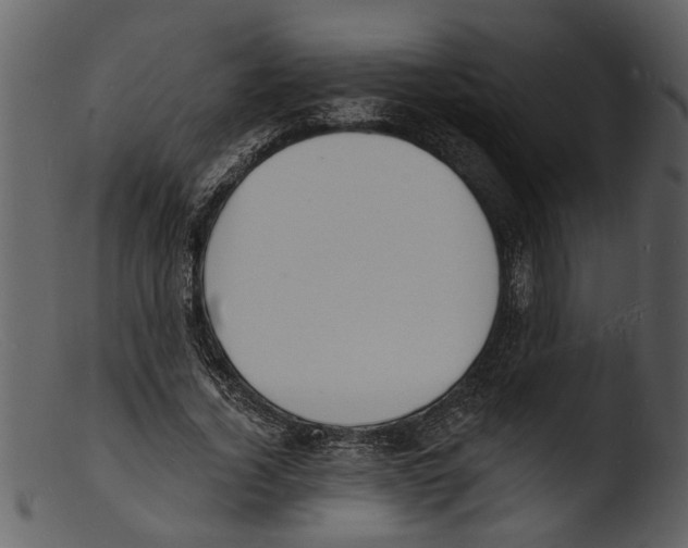 X0000103300732200809261313