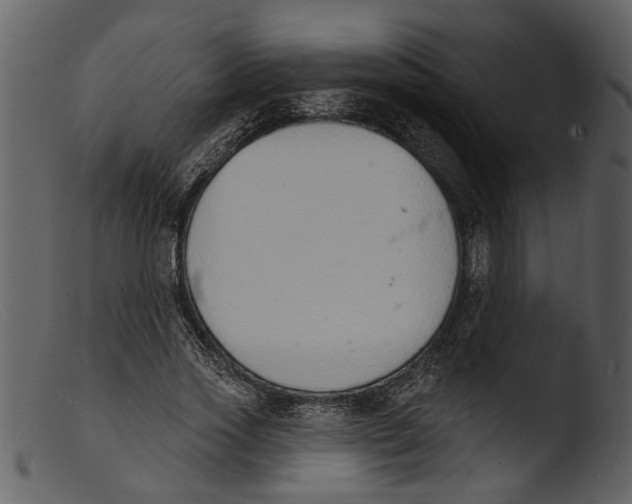X0000103300733200809261313