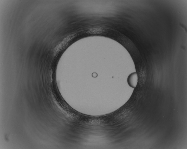 X0000103300734200809261313