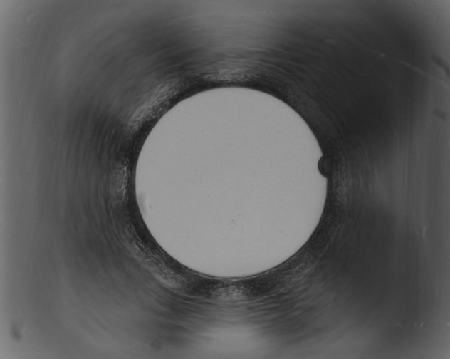 X0000103300735200809261313