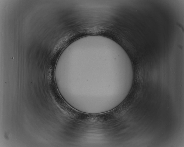 X0000103300736200809261313