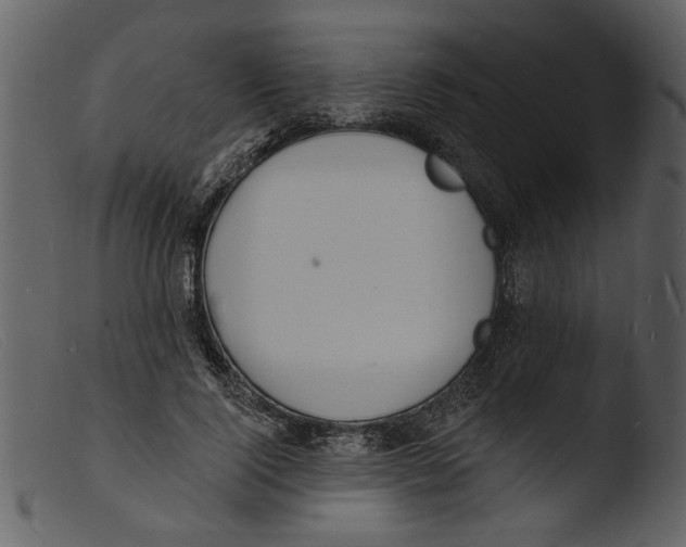 X0000103300740200809261313
