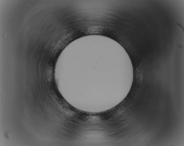 X0000103300741200809261313