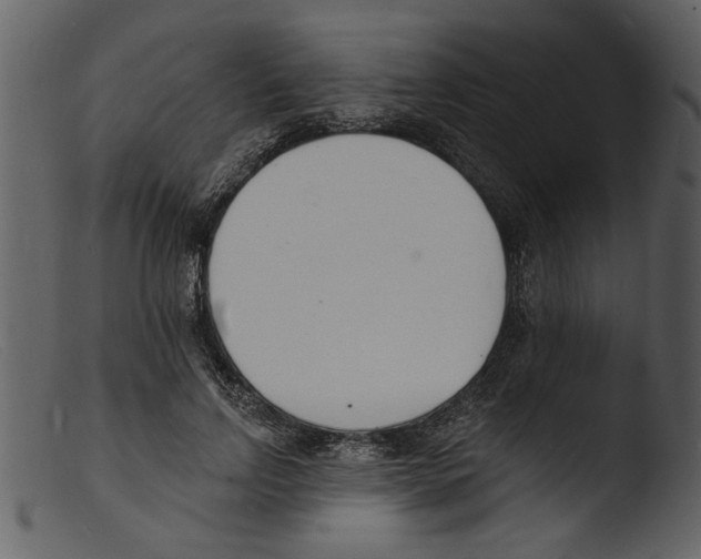 X0000103300742200809261313