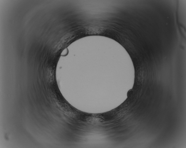 X0000103300743200809261313