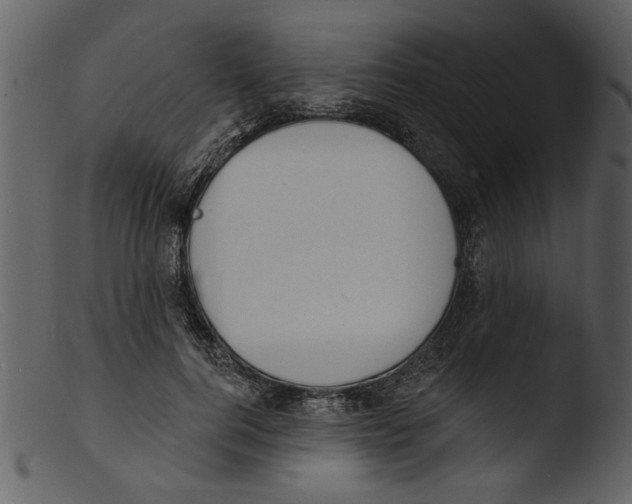 X0000103300744200809261313