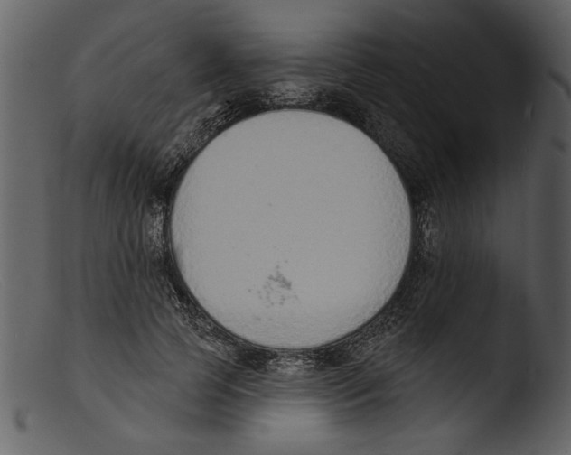 X0000103300745200809261313
