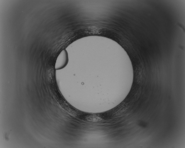 X0000103300747200809261313