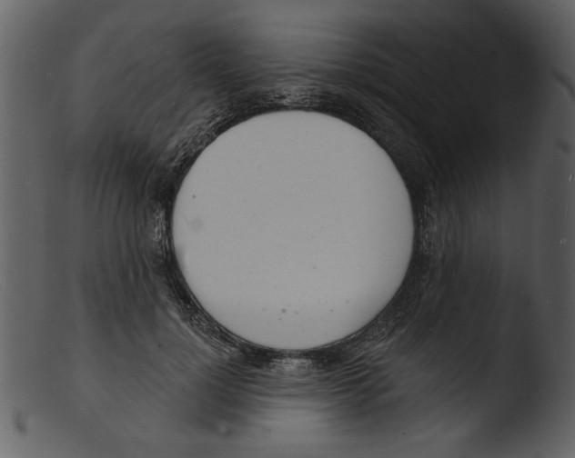 X0000103300748200809261313