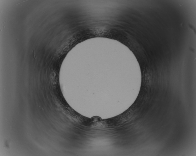 X0000103300750200809261313