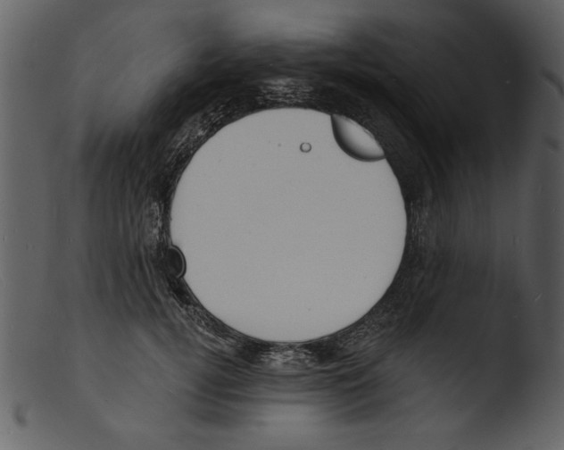 X0000103300752200809261313